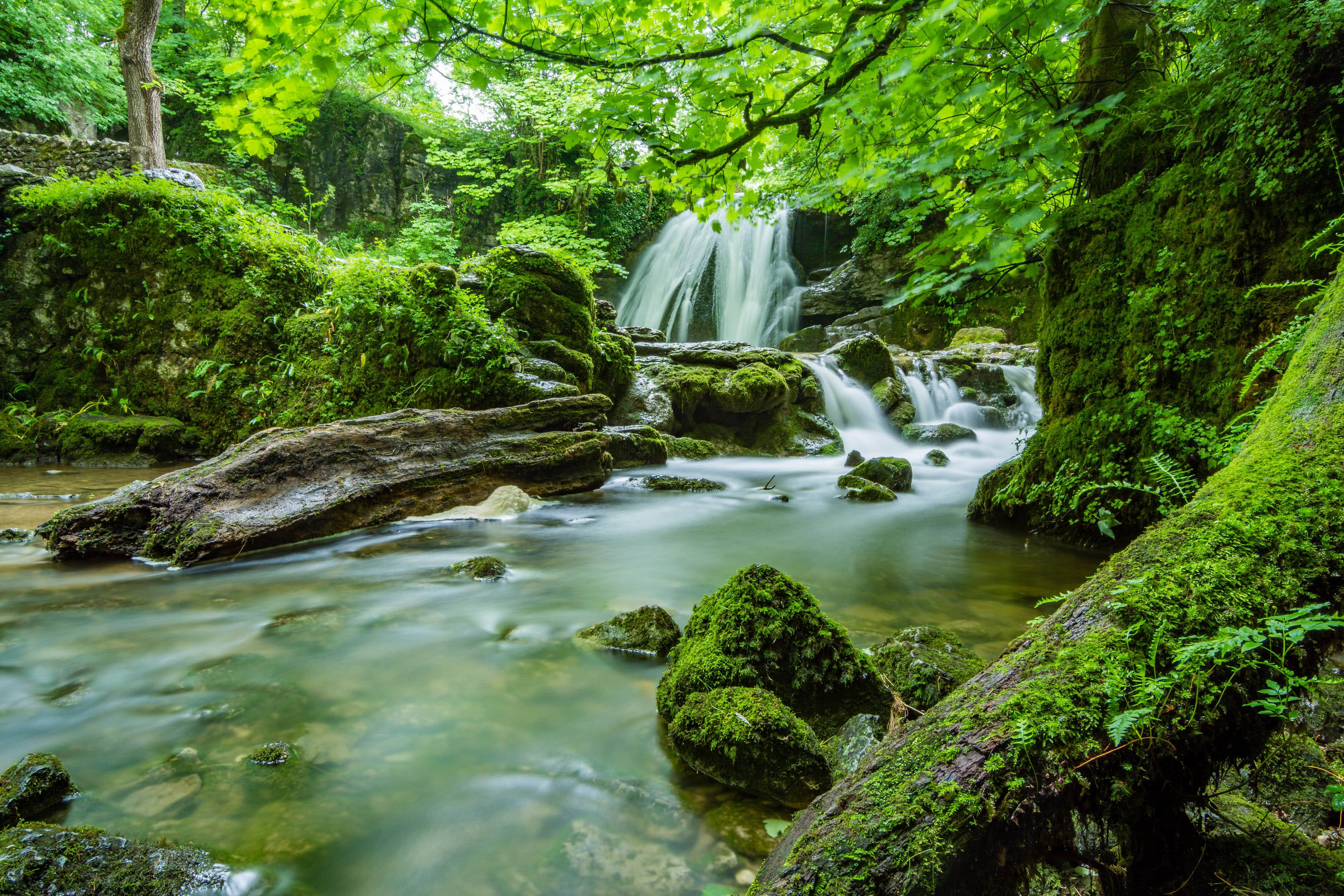 photo of a stream