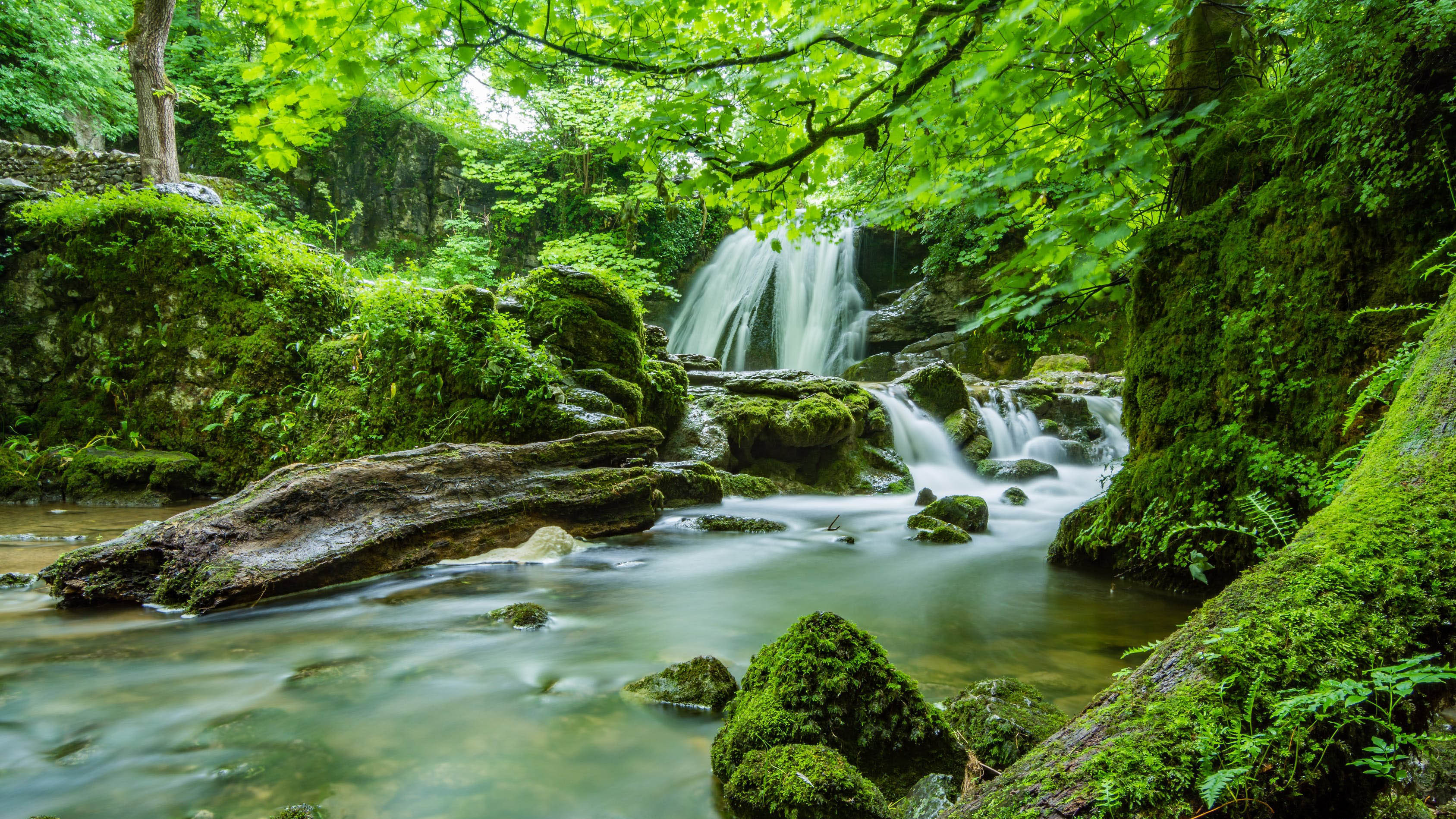 photo of a stream